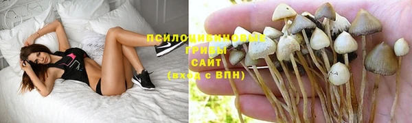 ALPHA PVP Няндома