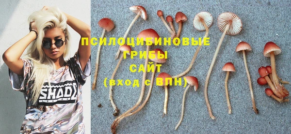 герыч Новозыбков