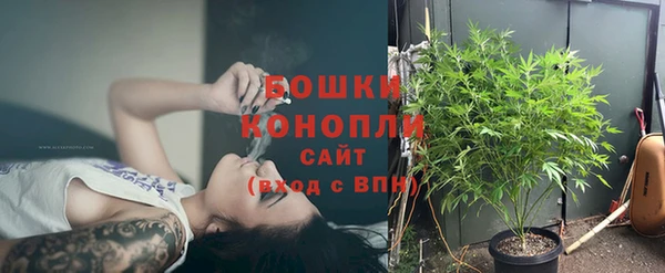 ALPHA PVP Няндома
