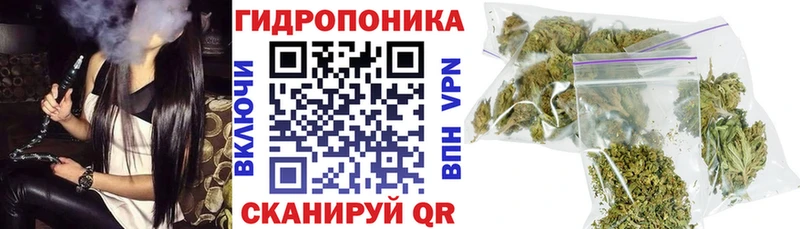 МАРИХУАНА конопля  даркнет сайт  МЕГА онион  Лихославль 